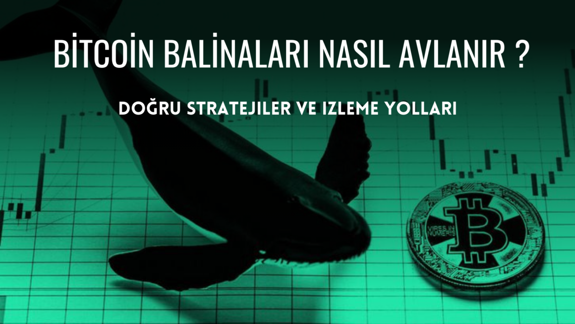 Bitcoin Balinaları Nasıl Avlanır ? : Kripto Piyasalarının Devleri